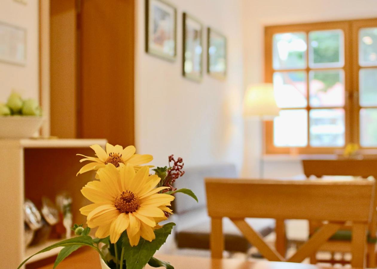 Pension Kurhausblick Bad Suderode Buitenkant foto