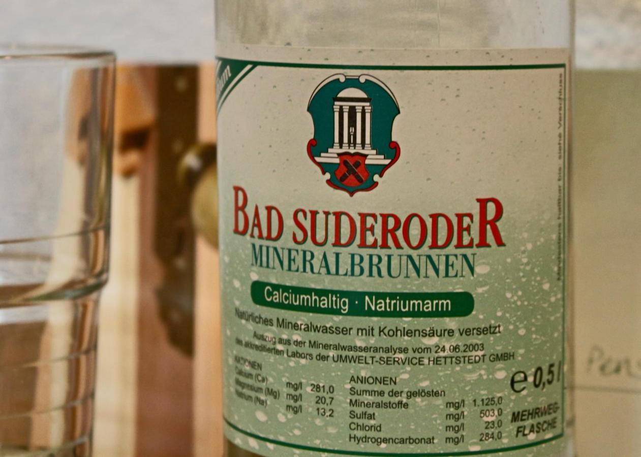 Pension Kurhausblick Bad Suderode Buitenkant foto