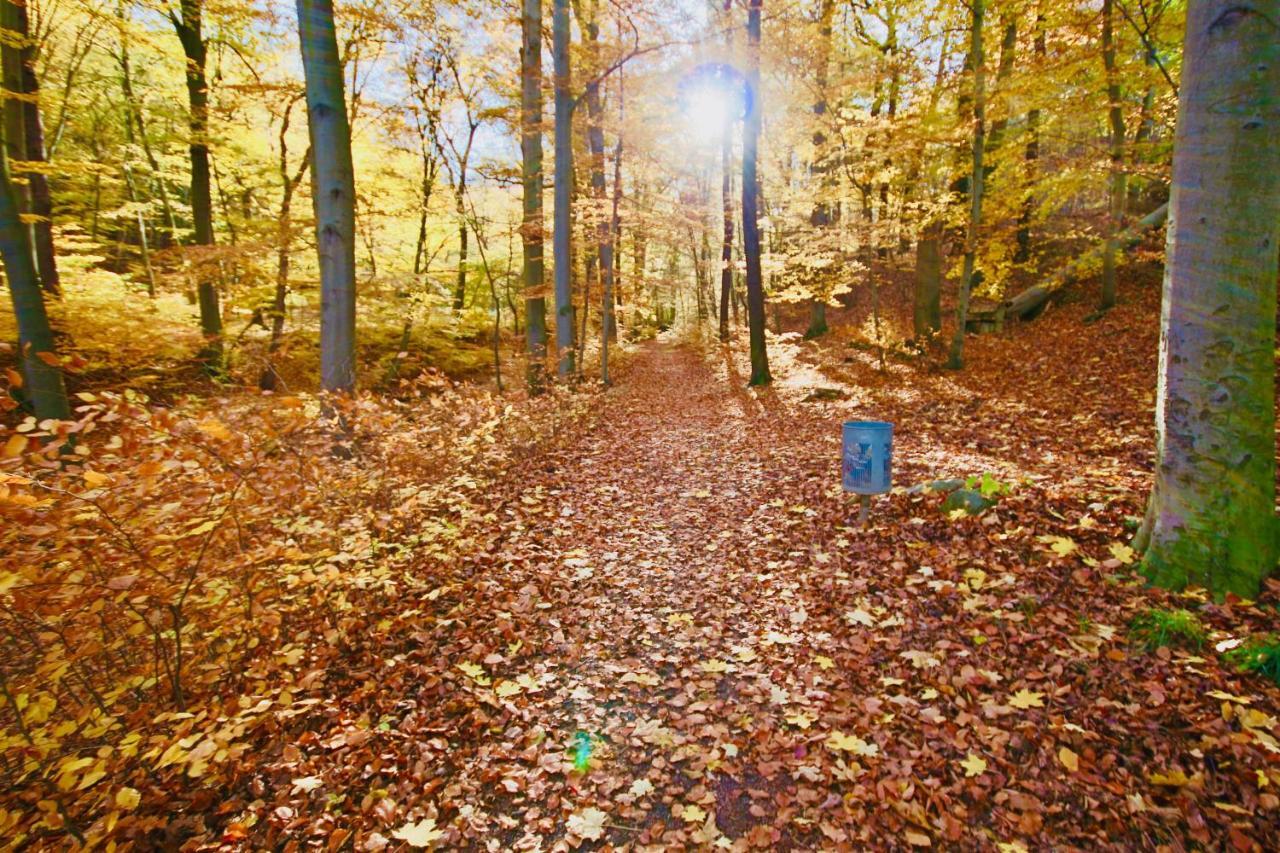 Pension Kurhausblick Bad Suderode Buitenkant foto