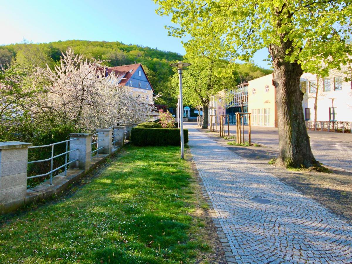 Pension Kurhausblick Bad Suderode Buitenkant foto