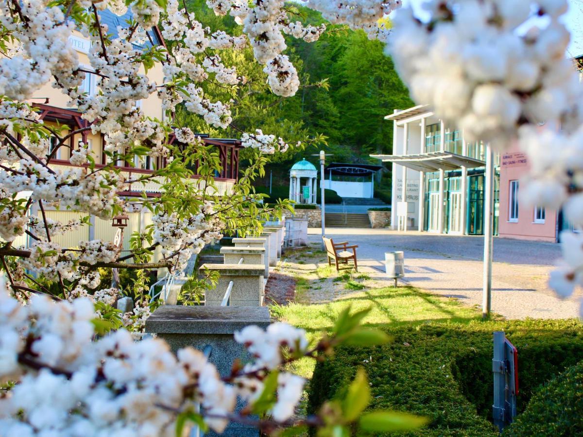Pension Kurhausblick Bad Suderode Buitenkant foto