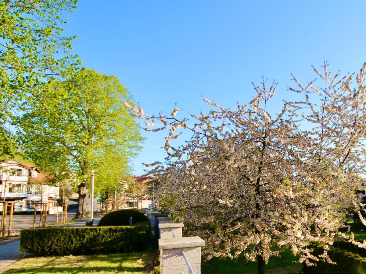 Pension Kurhausblick Bad Suderode Buitenkant foto